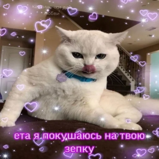 😋 Стикер «Crumple in bed» для Telegram