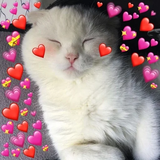 ❤️ Стикер «Crumple in bed» для Telegram