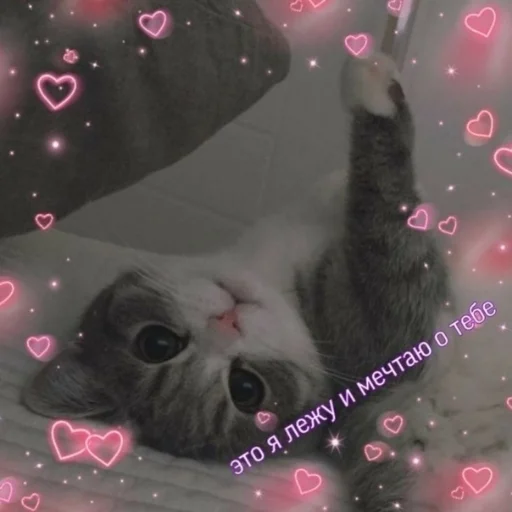 ☺️ Стикер «Crumple in bed» для Telegram