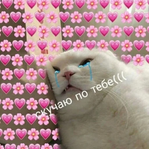 😢 Стикер «Crumple in bed» для Telegram