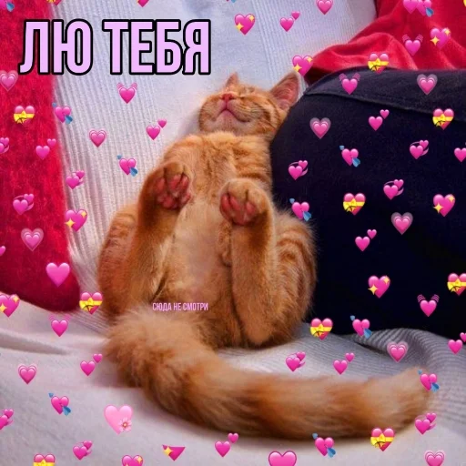 ♥️ Стикер «Crumple in bed» для Telegram