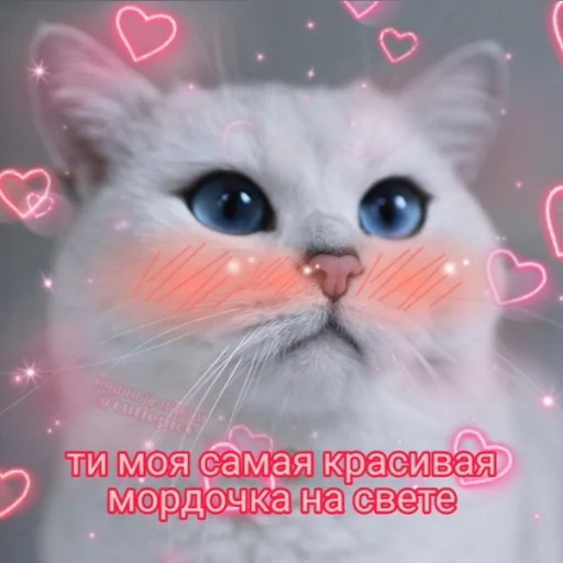 😍 Стикер «Crumple in bed» для Telegram
