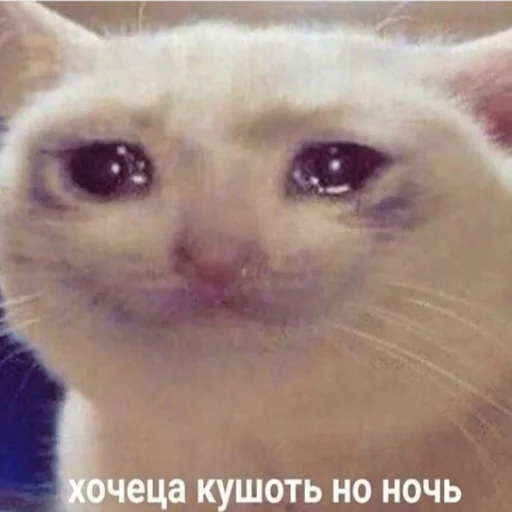 😢 Стикер «Crumple in bed» для Telegram