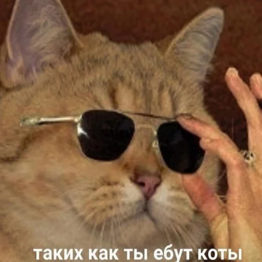 🤡 Стикер «Crumple in bed» для Telegram