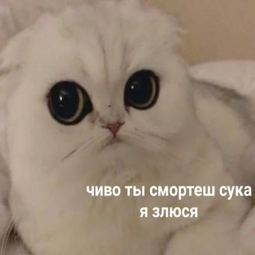 😠 Стикер «Crumple in bed» для Telegram
