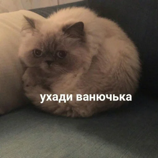 😥 Стикер «Crumple in bed» для Telegram