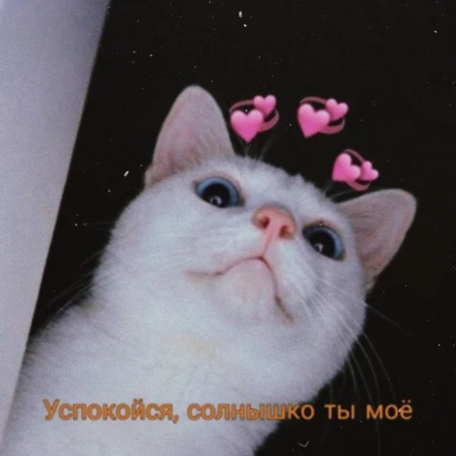😌 Стикер «Crumple in bed» для Telegram