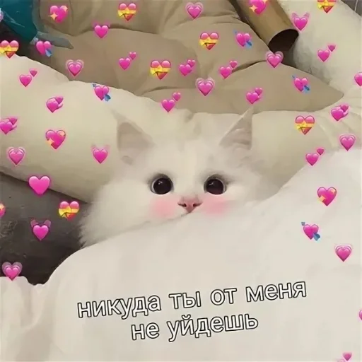 😌 Стикер «Crumple in bed» для Telegram