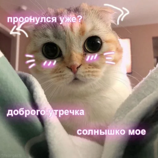 🙂 Стикер «Crumple in bed» для Telegram