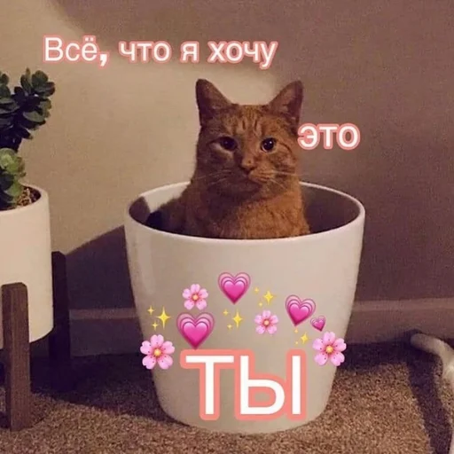 🤪 Стикер «Crumple in bed» для Telegram