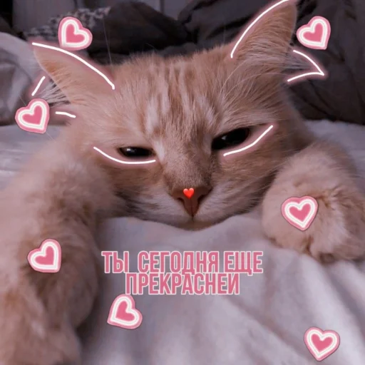 🤗 Стикер «Crumple in bed» для Telegram
