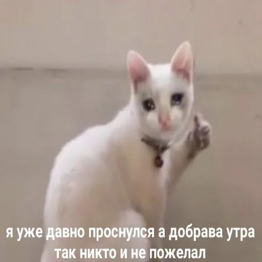 👍 Стикер «Crumple in bed» для Telegram