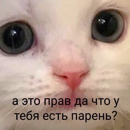 🙊 Стикер «Crumple in bed» для Telegram