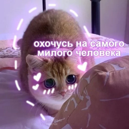 😊 Стикер «Crumple in bed» для Telegram