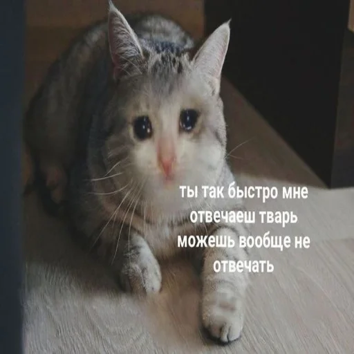 😓 Стикер «Crumple in bed» для Telegram