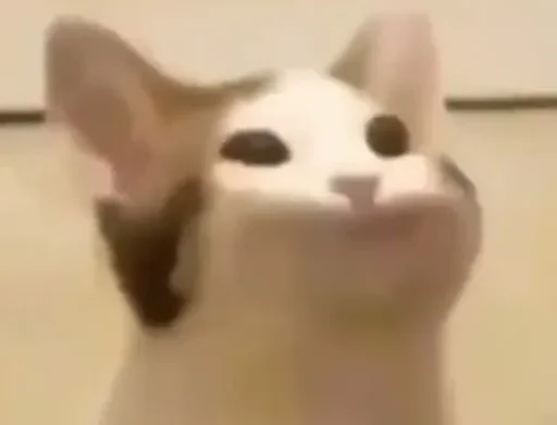 😐 Стикер «banana cat» для Telegram
