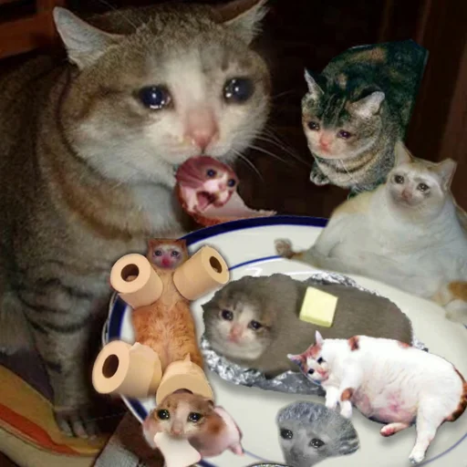 😭 Стикер «Crying Cat Deluxe Evolution» для Telegram