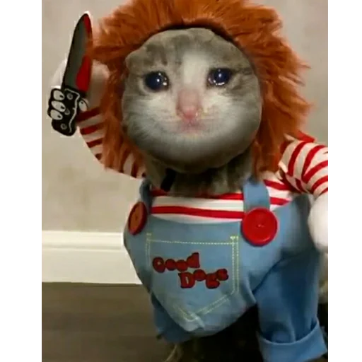 😭 Стикер «Crying Cat Deluxe Evolution» для Telegram