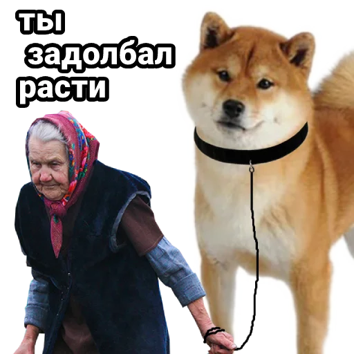 🚀 Стикер «cryptobabkee» для Telegram