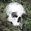 🩷 Эмодзи «Crystal Castles» для Telegram