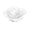 Стикер 11 𝒞𝓇𝑦𝑠𝑡𝑎𝑙 𝒫𝑎𝓇𝑎𝑑𝒾𝑠𝑒