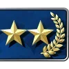 Стикер 20 ✨ CS GO Ranks - эмблемы рангов кс го