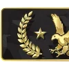 Стикер 31 ✨ CS GO Ranks - эмблемы рангов кс го