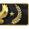 Стикер 32 ✨ CS GO Ranks - эмблемы рангов кс го