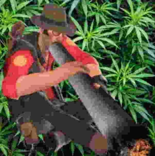 🌿 Стикер «Weed Cult» для Telegram
