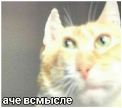 🤔 Стикер «Dungeon of cum» для Telegram