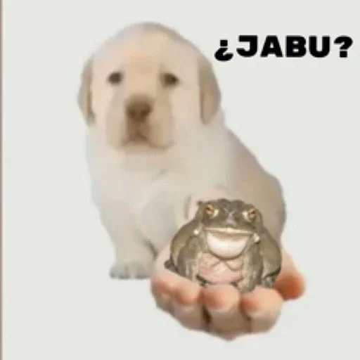 🐕 Стикер «Dungeon of cum» для Telegram