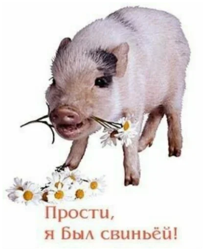 🐖 Стикер «Dungeon of cum» для Telegram
