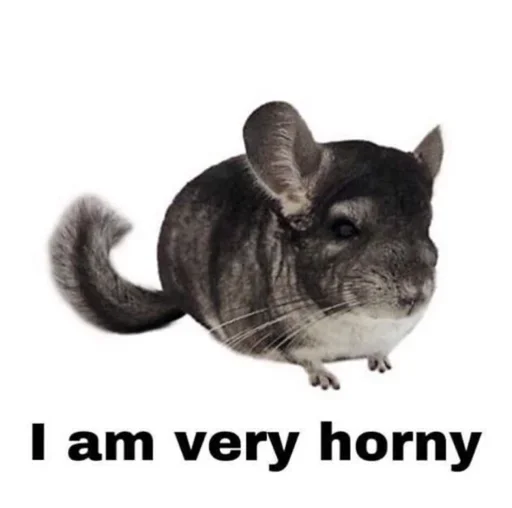 🔞 Стикер «Dungeon of cum» для Telegram