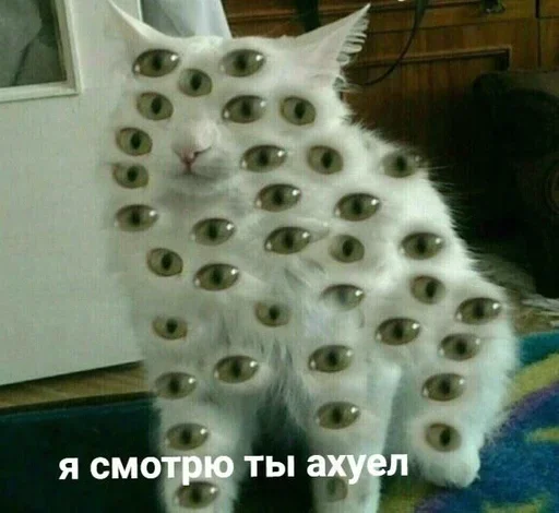 👀 Стикер «Dungeon of cum» для Telegram