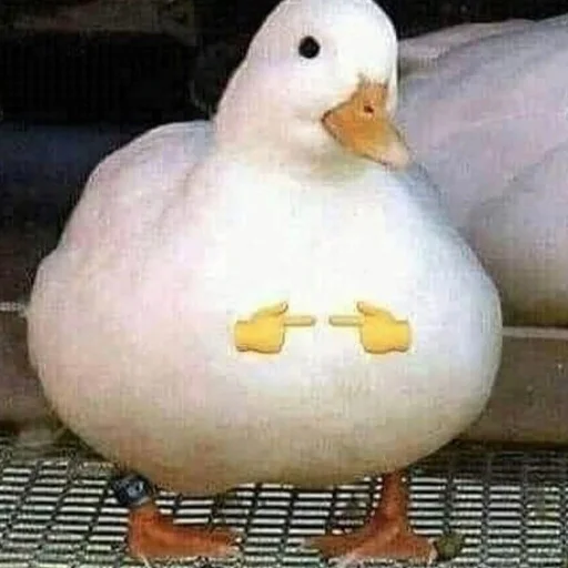 🦆 Стикер «cumыши» для Telegram