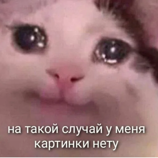 😖 Стикер «cumыши» для Telegram