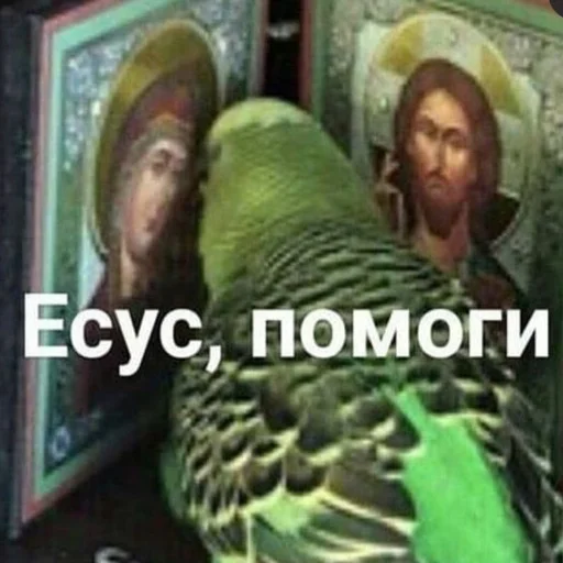 🙏 Стикер «cumыши» для Telegram
