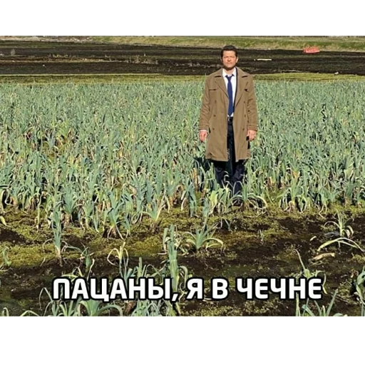 👍 Стикер «cumыши» для Telegram
