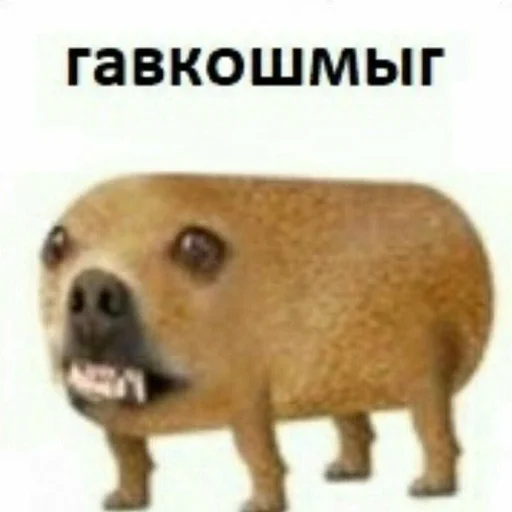 🐺 Стикер «cumыши» для Telegram
