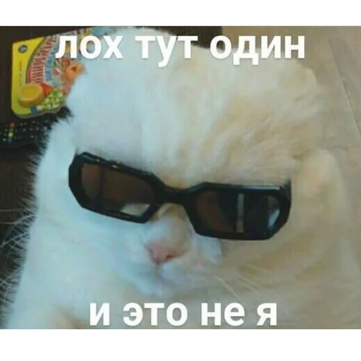 😎 Стикер «cumыши» для Telegram