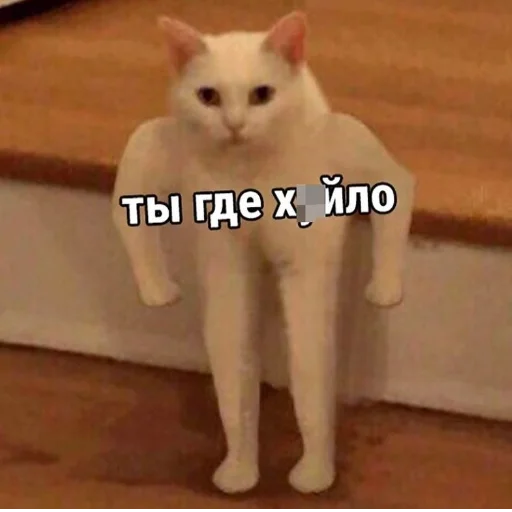 👹 Стикер «cumыши» для Telegram