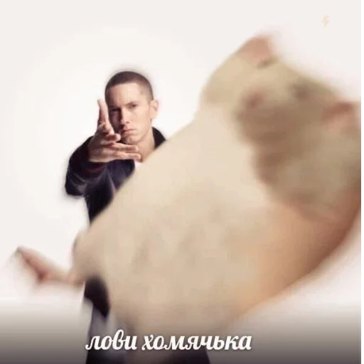 🐻‍❄️ Стикер «cumыши» для Telegram