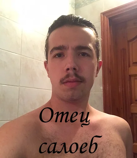 🐖 Стикер «Властелины пусиджуса» для Telegram