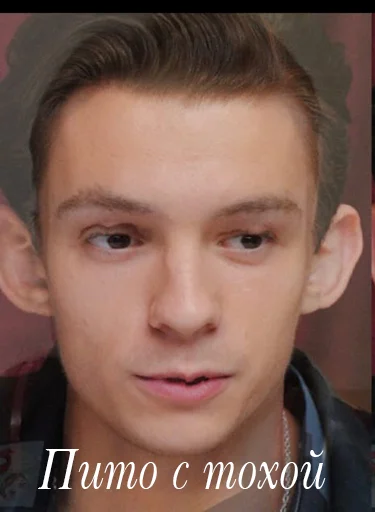 🤌 Стикер «Властелины пусиджуса» для Telegram