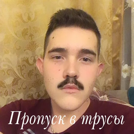 🤑 Стикер «Властелины пусиджуса» для Telegram