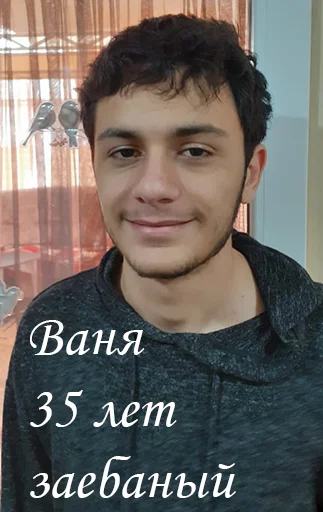 🦾 Стикер «Властелины пусиджуса» для Telegram