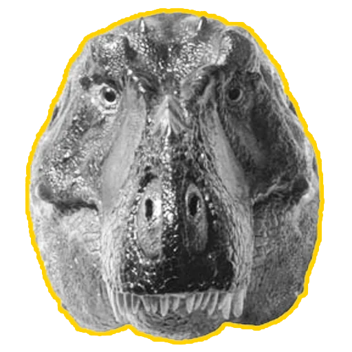 😊 Стикер «cursed dinosaurs» для Telegram