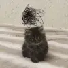 Стикер 48 cursed kittens