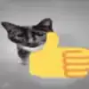 Стикер 16 cursed kittens