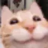 Стикер 11 cursed kittens